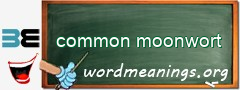 WordMeaning blackboard for common moonwort
